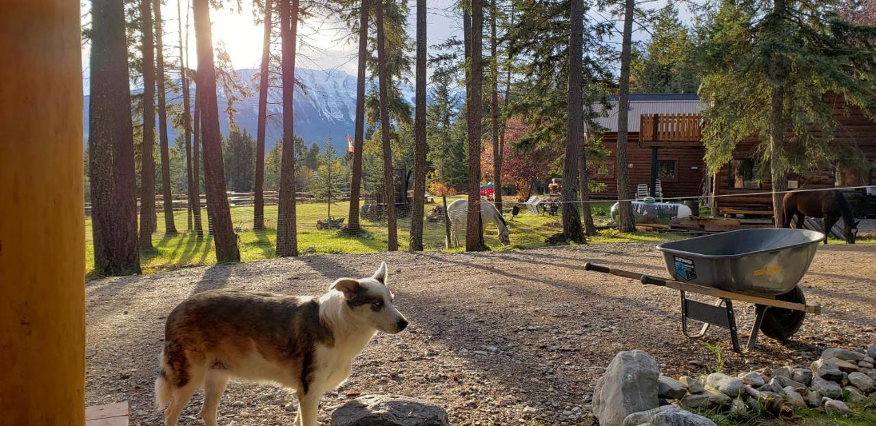 Kicking Horse Canyon Guest House Golden Exterior foto