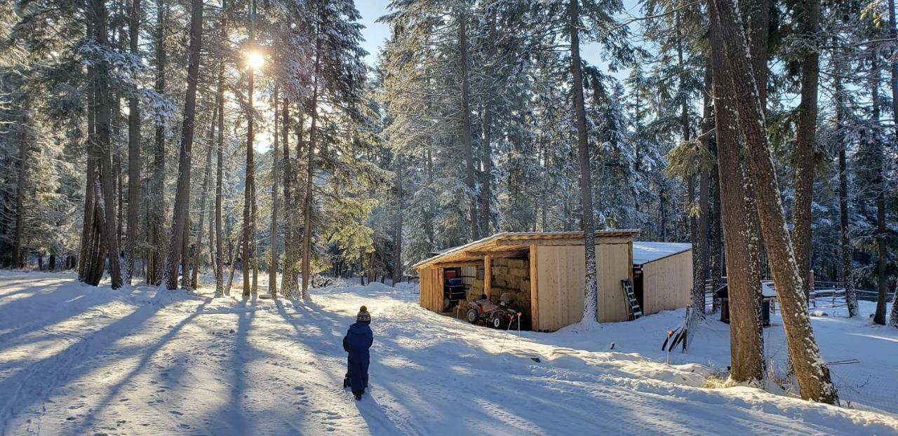 Kicking Horse Canyon Guest House Golden Exterior foto